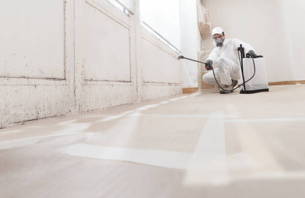 24/7 Emergency Black Mold Remediation experts in Lincoln Park, NJ